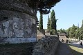 thn_IMG_0785.jpg
