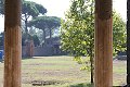 thn_IMG_0800.jpg