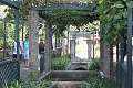 thn_IMG_0801.jpg