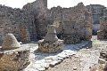 thn_IMG_0816.jpg