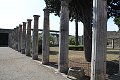 thn_IMG_0818.jpg