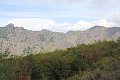 thn_IMG_0843.jpg