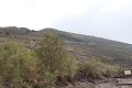 thn_IMG_0847.jpg