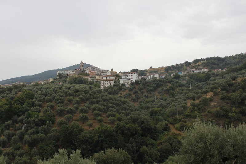 IMG_0652.jpg