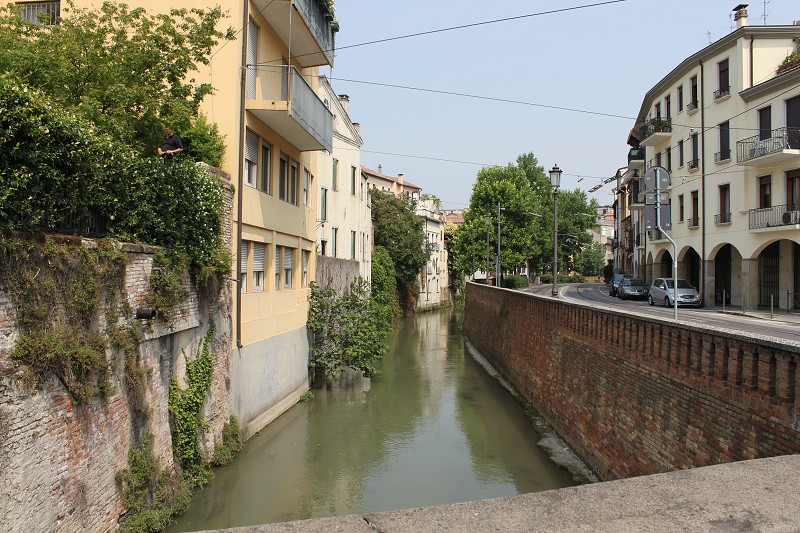 IMG_2505.jpg