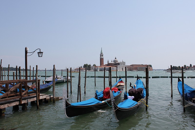 IMG_2430.jpg
