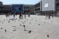 thn_IMG_2416.jpg
