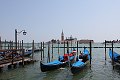 thn_IMG_2430.jpg