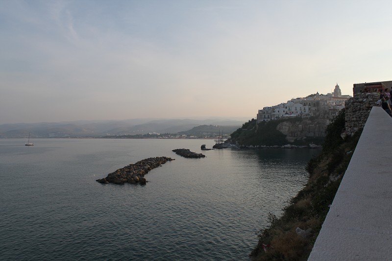 IMG_2621.jpg