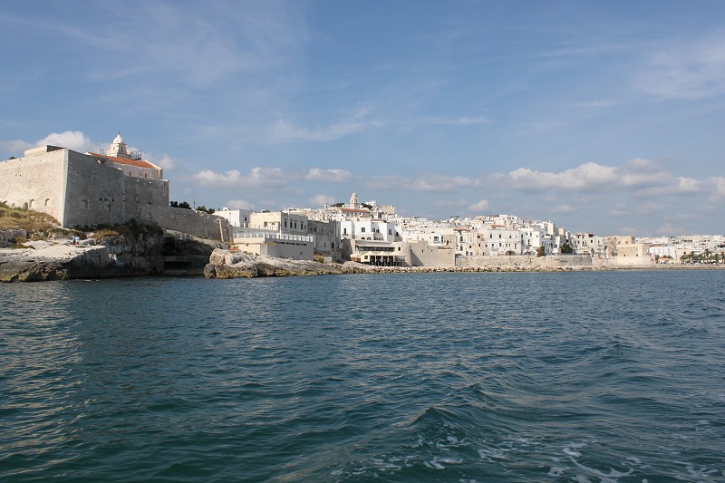 IMG_2775.jpg