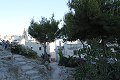 thn_IMG_3072.jpg