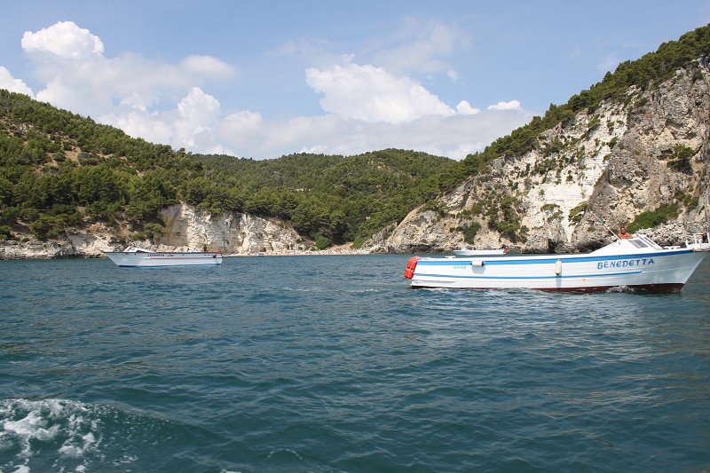 IMG_2905.jpg