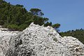 thn_IMG_2899.jpg