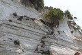 thn_IMG_2916.jpg