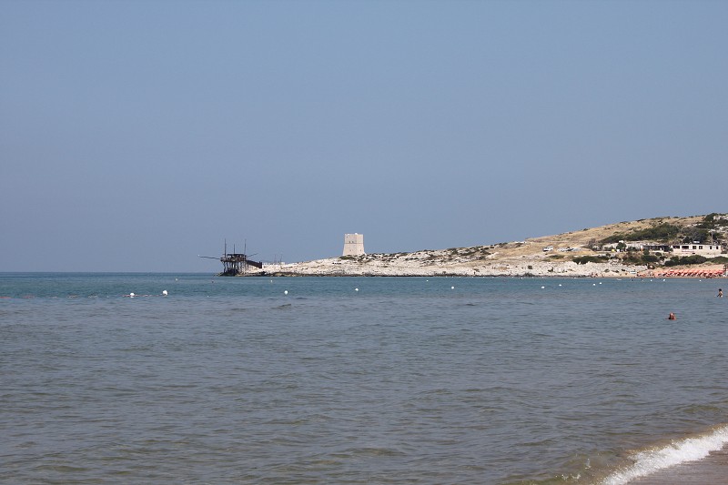 IMG_2547.jpg