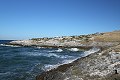 thn_IMG_3005.jpg