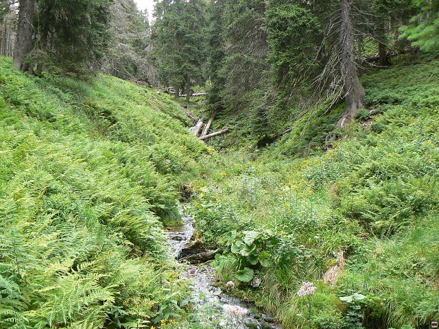 Jeseniky_08-08-04_26.jpg