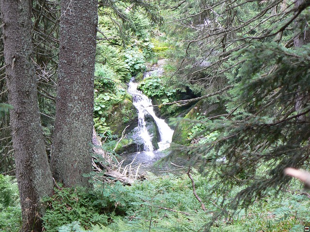 Jeseniky_08-08-04_28.jpg