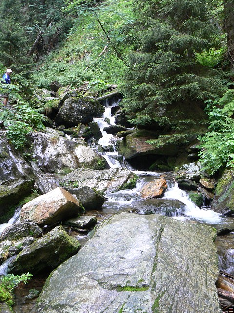 Jeseniky_08-08-04_39.jpg