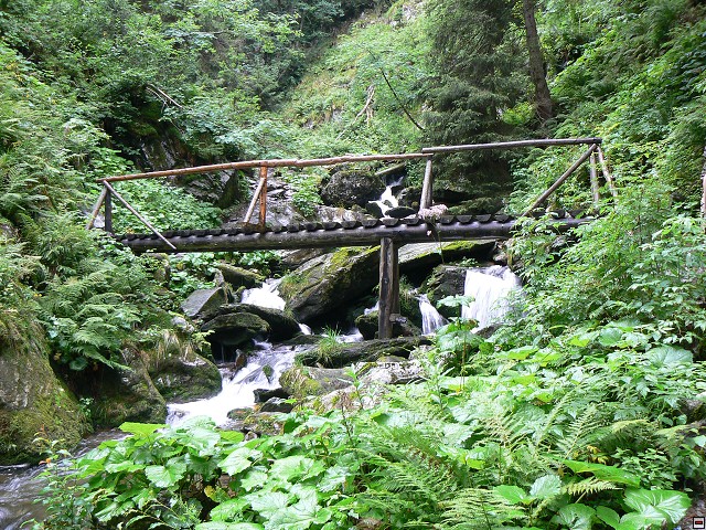 Jeseniky_08-08-04_41.jpg