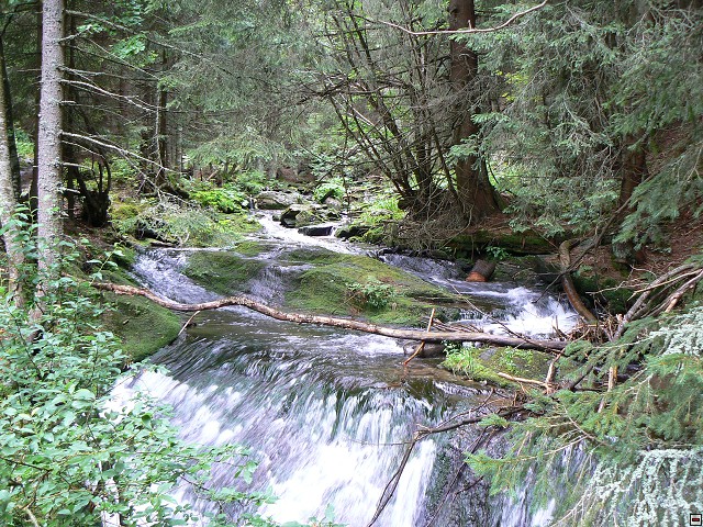 Jeseniky_08-08-04_58.jpg