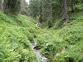 thn_Jeseniky_08-08-04_26.jpg