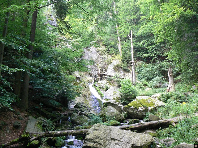 Jeseniky_08-08-05_03.jpg