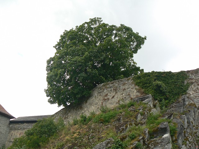 Jeseniky_08-08-05_13.jpg