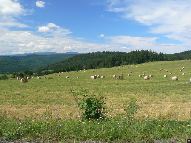 Jeseniky_08-08-06_02.jpg