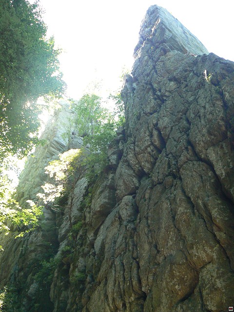 Jeseniky_08-08-07_02.jpg