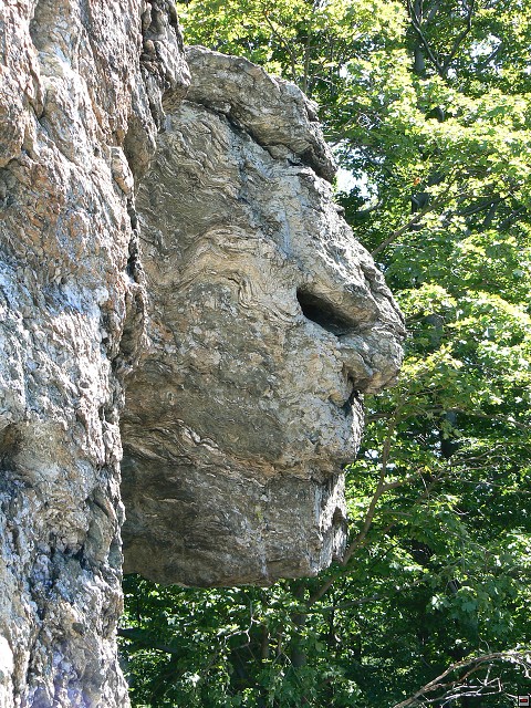 Jeseniky_08-08-07_04.jpg