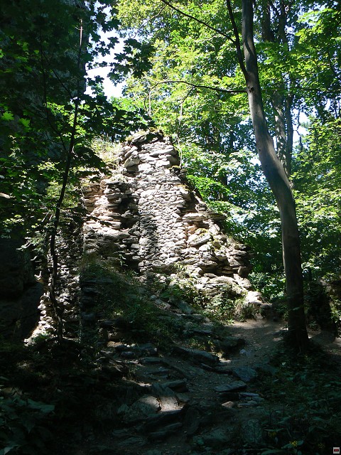 Jeseniky_08-08-07_10.jpg