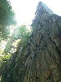 thn_Jeseniky_08-08-07_02.jpg