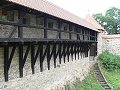 thn_Jeseniky_08-08-08_47.jpg