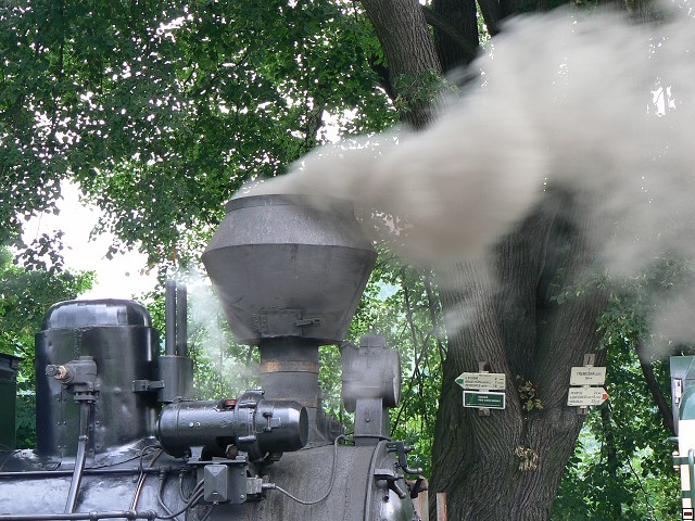 Jeseniky_08-08-09_13.jpg