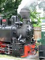 thn_Jeseniky_08-08-09_16.jpg