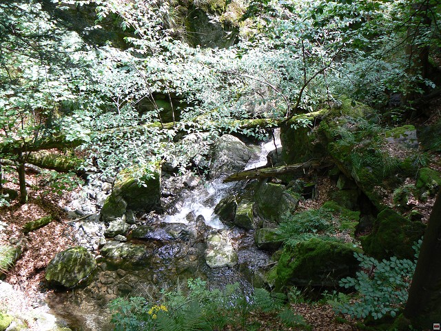 Jeseniky_08-08-10_02.jpg