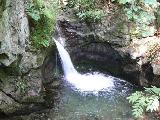 Jeseniky_08-08-10_03.jpg