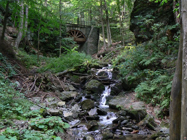 Jeseniky_08-08-10_05.jpg