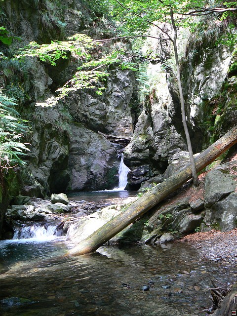 Jeseniky_08-08-10_07.jpg