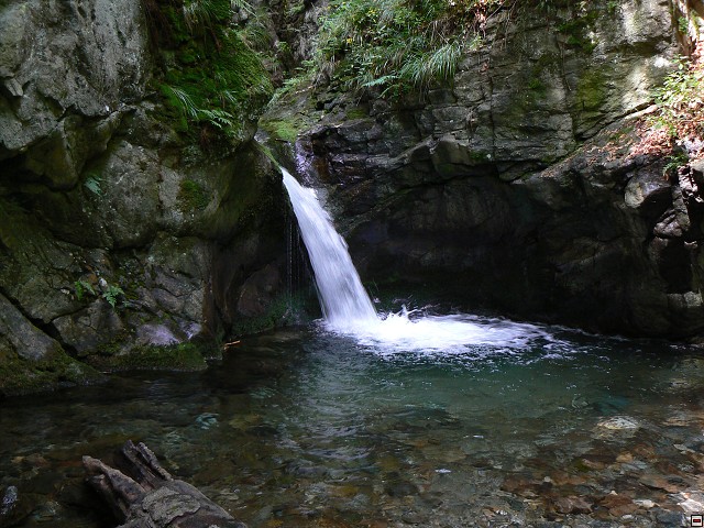 Jeseniky_08-08-10_08.jpg
