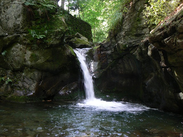 Jeseniky_08-08-10_09.jpg