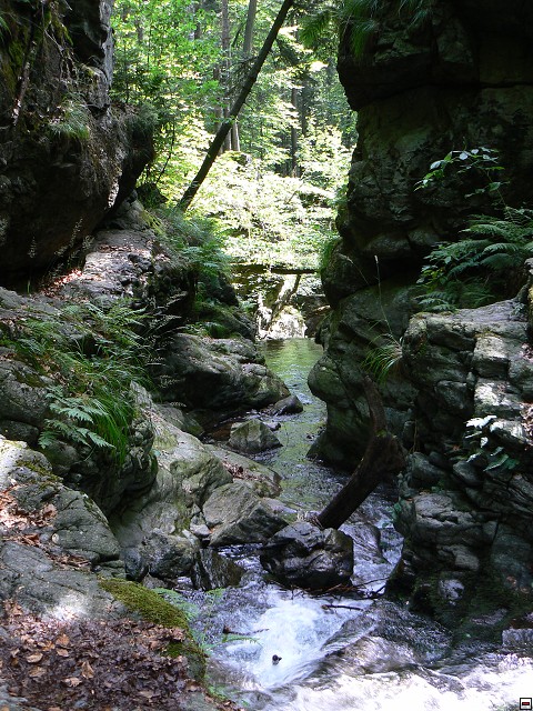 Jeseniky_08-08-10_10.jpg