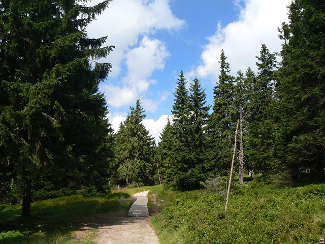 Jeseniky_08-08-11_02.jpg