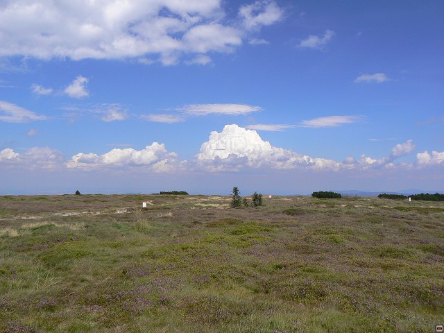 Jeseniky_08-08-11_11.jpg