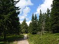 thn_Jeseniky_08-08-11_02.jpg