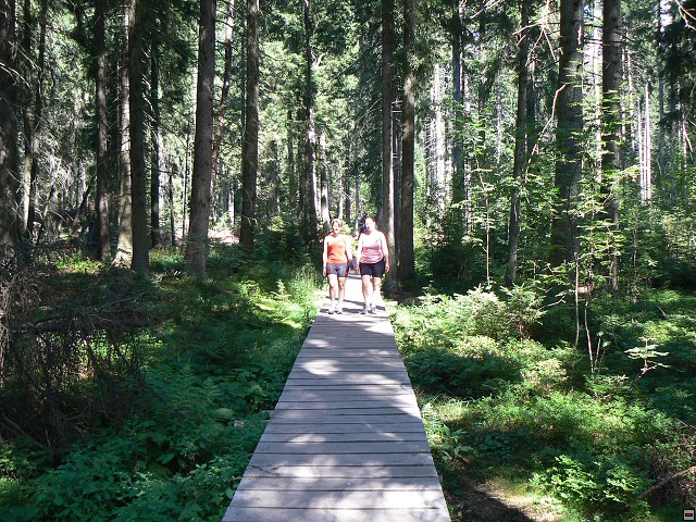 Jeseniky_08-08-12_12.jpg