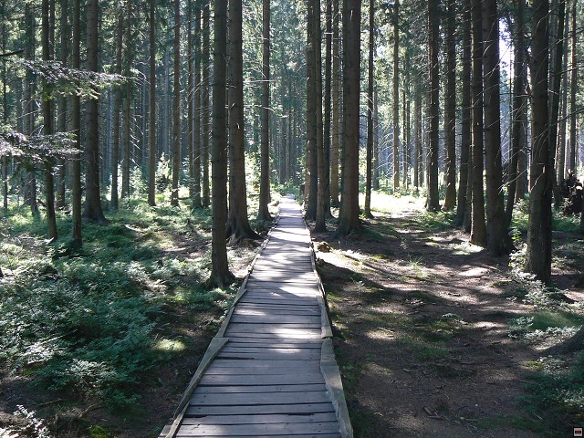 Jeseniky_08-08-12_13.jpg
