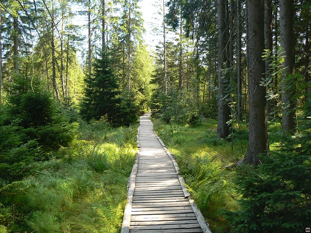Jeseniky_08-08-12_15.jpg