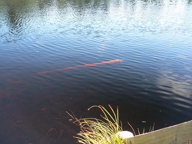 Jeseniky_08-08-12_20.jpg